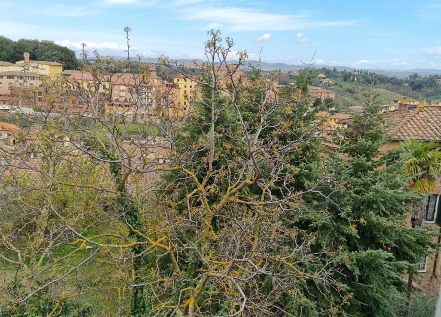 La Casa Di Fa Apartment Siena Italy